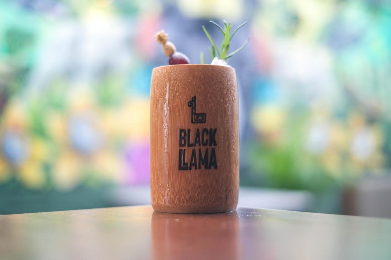 Black Llama Hostal